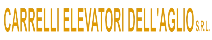 logo_carrelli_735x140 carrelli elevatori dell'aglio montichiari brescia